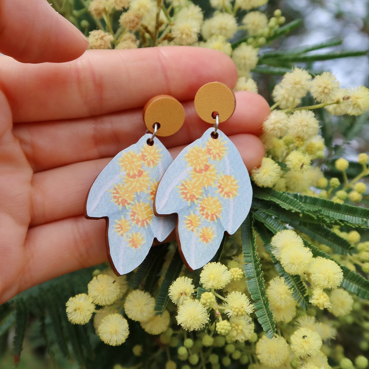 Australian native wildflower Silver Wattle wooden stud earrings.