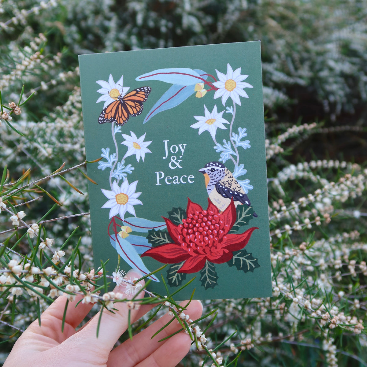Pardalote Christmas Greeting Card