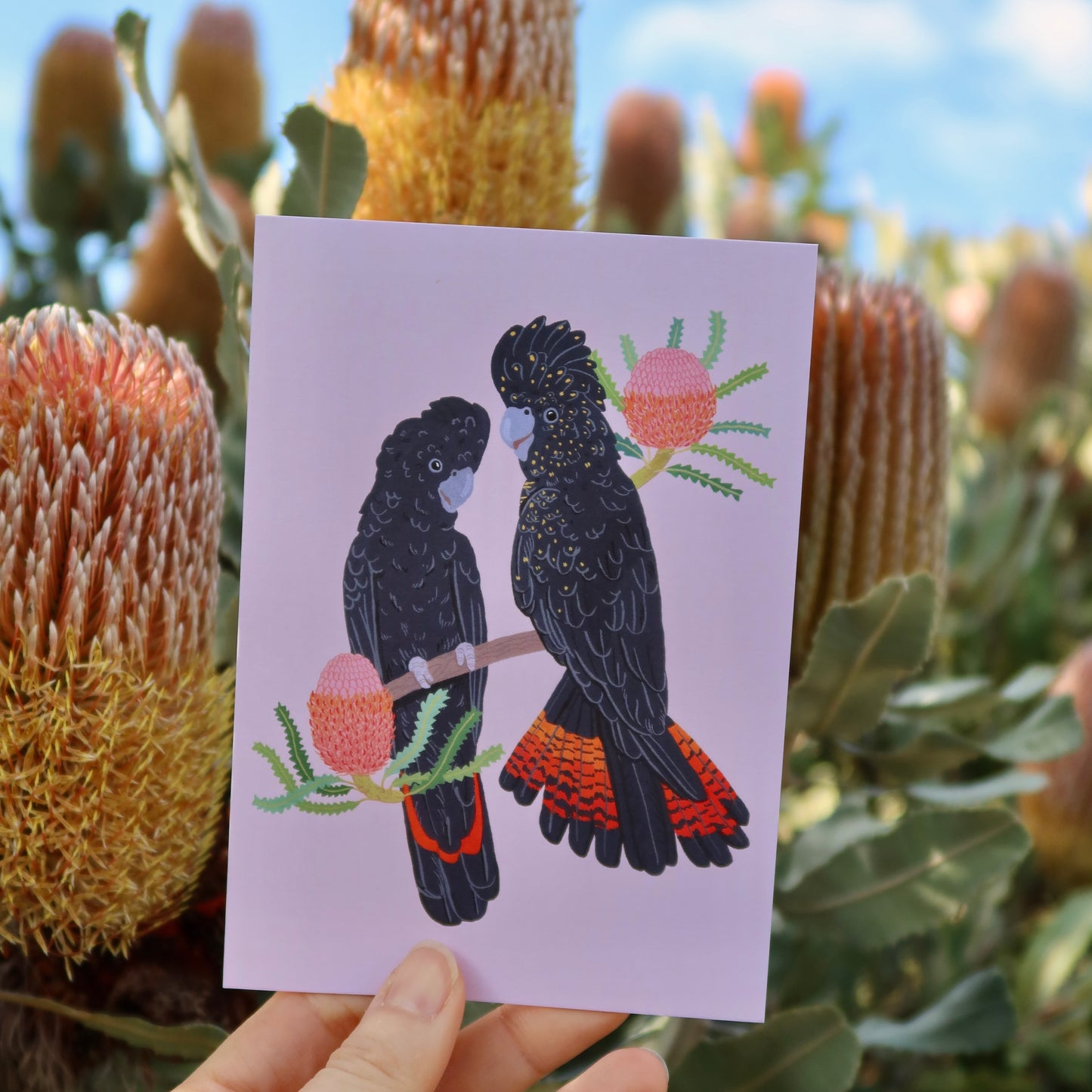 Black Cockatoo Banksia Greeting Card