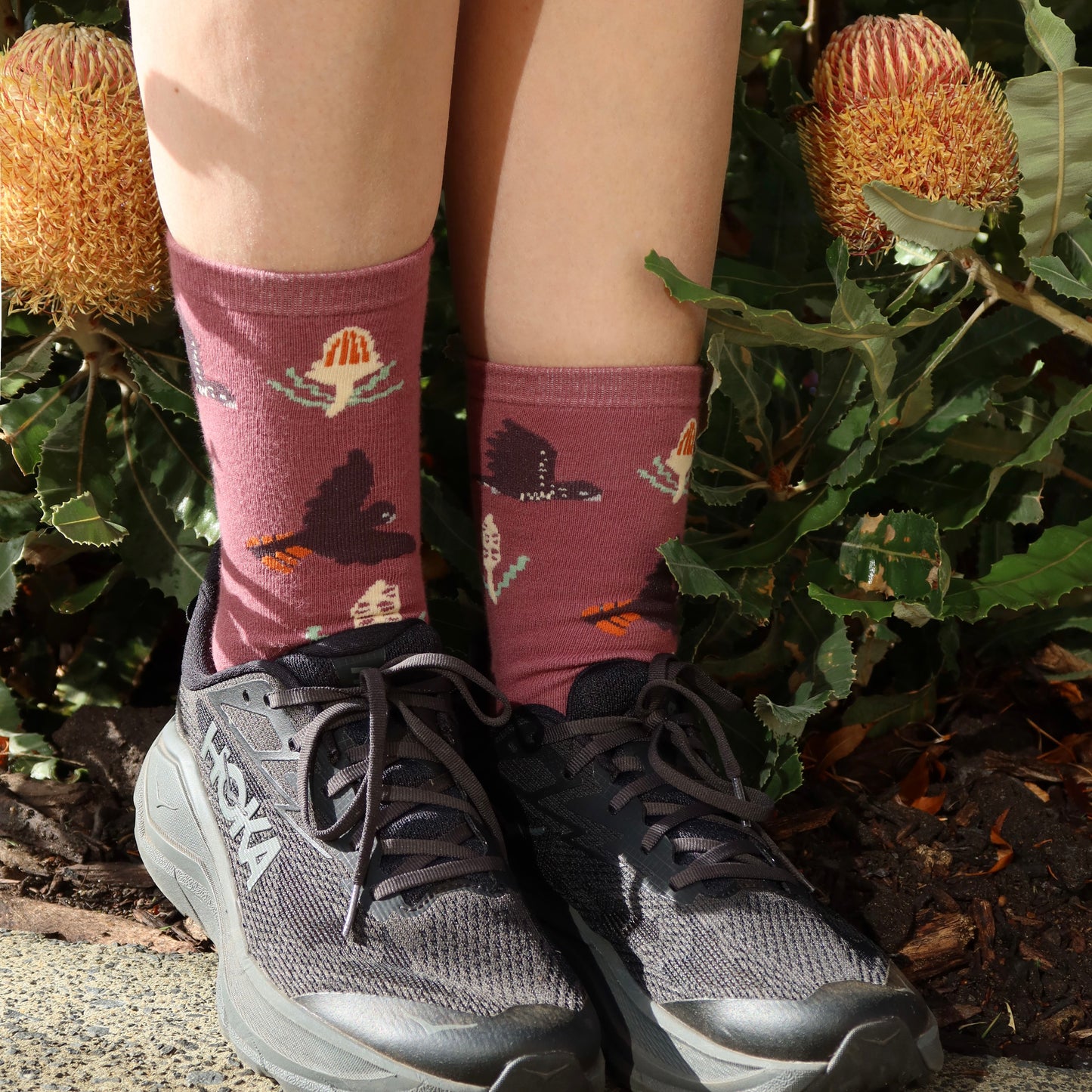 Black Cockatoo Australian Bird Socks