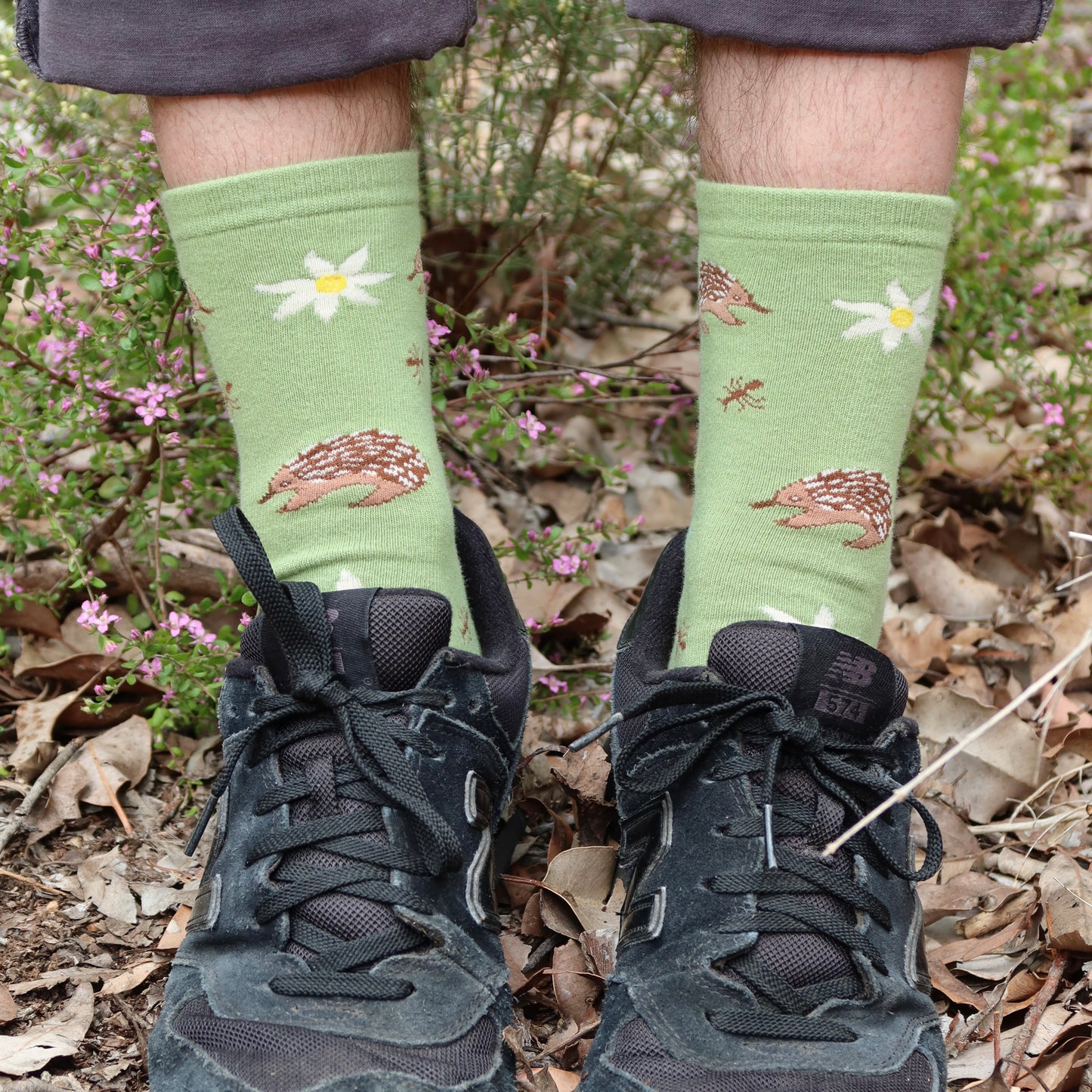 Echidna Australian Socks