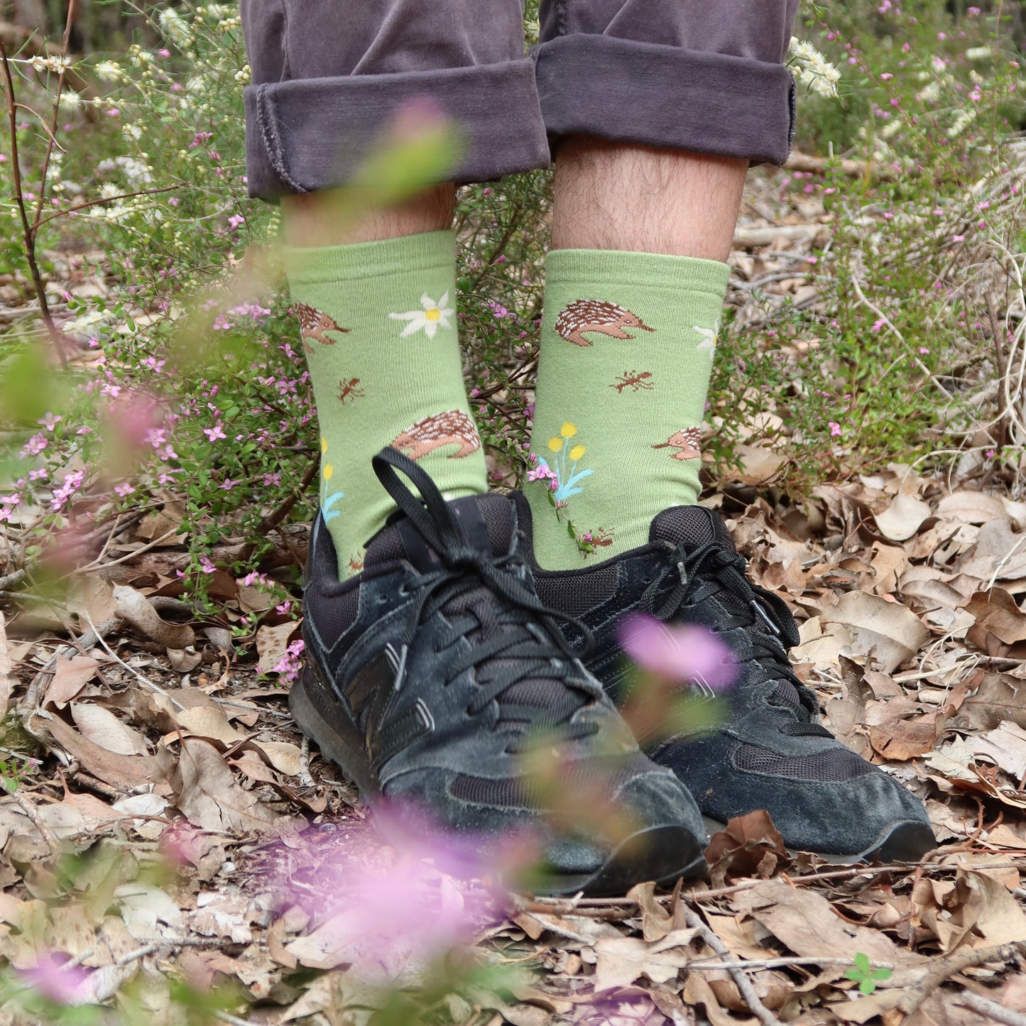 Echidna Australian Socks