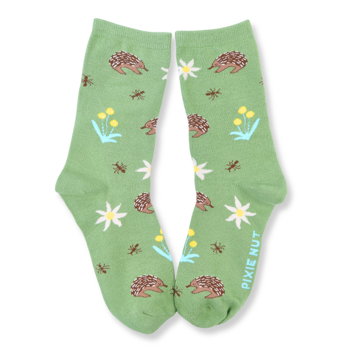 Echidna Bundle