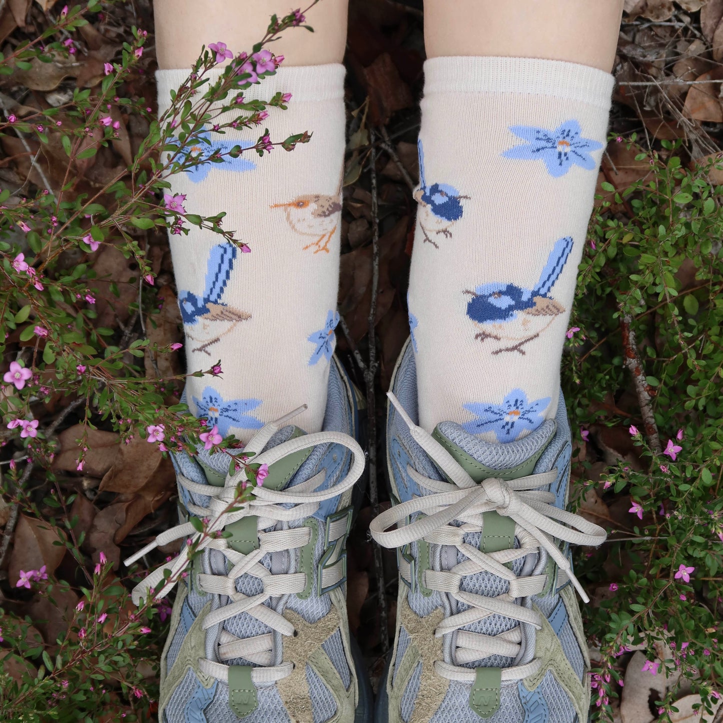 Fairy Wren Australian Socks