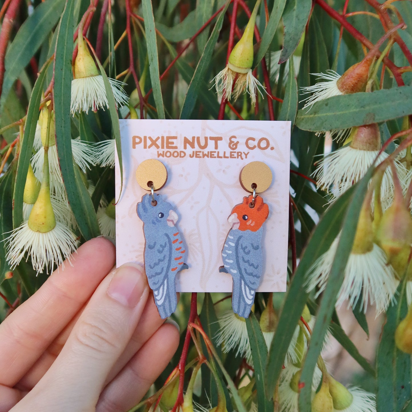 Gang Gang Cockatoo Australian Bird Earrings