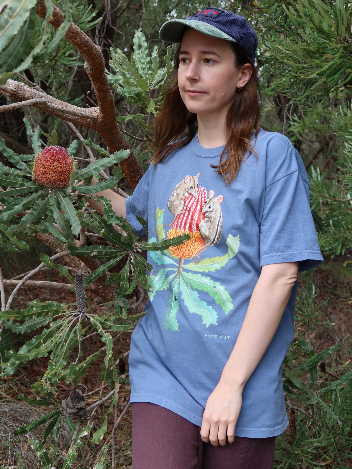 Honey Possum Tshirt (Blue Jean) ~ PREORDER