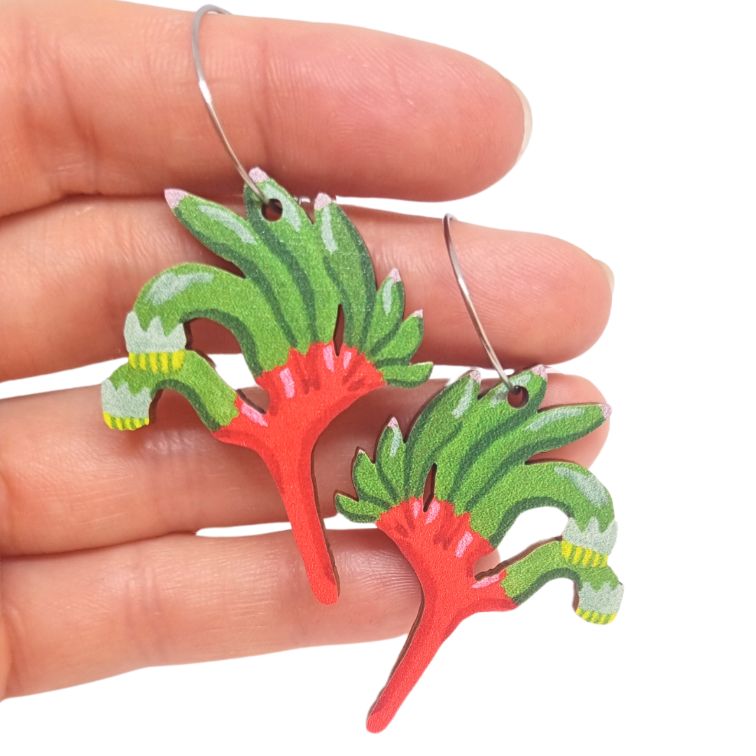 Kangaroo Paw Australian Wildflower Earrings