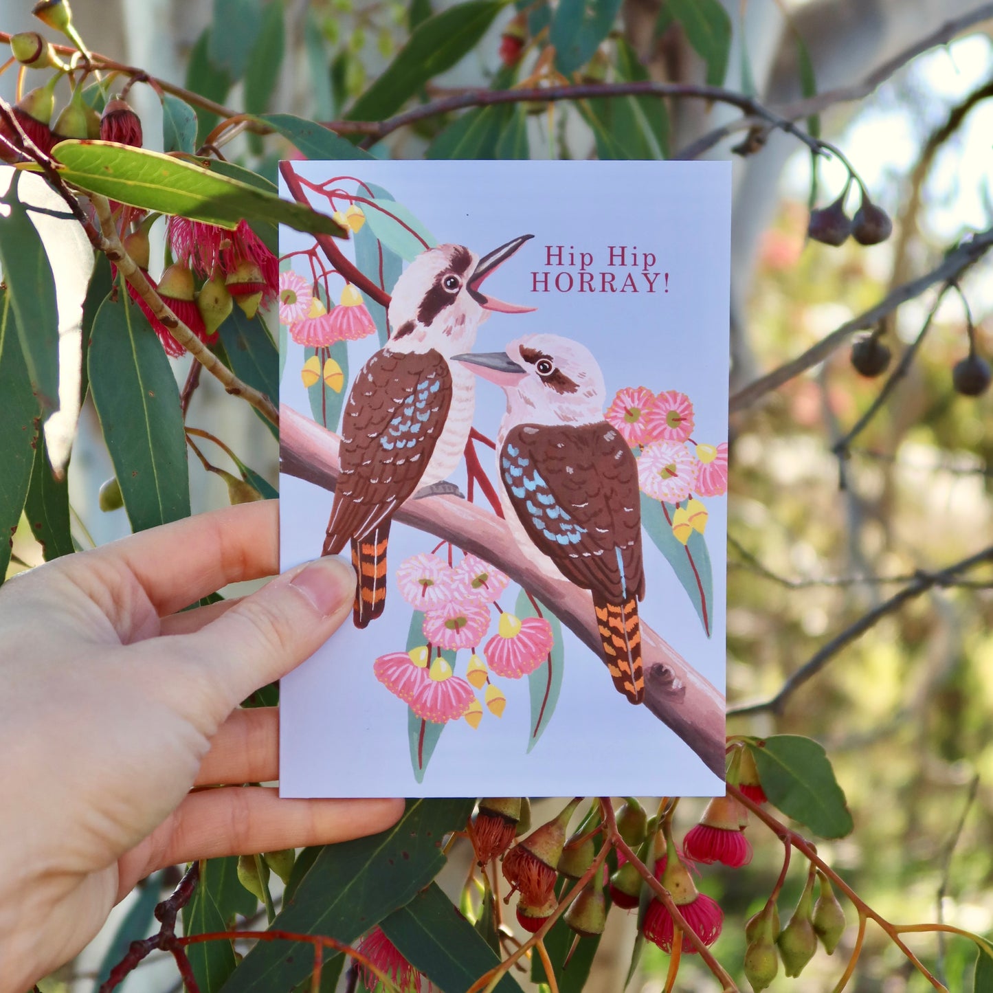 Kookaburra Gum Blossom Greeting Card