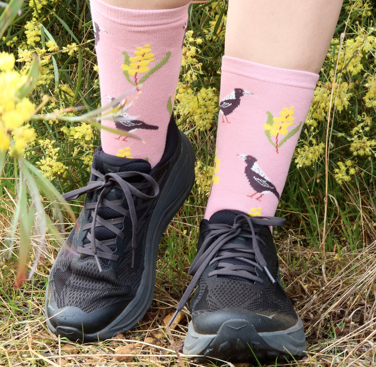 Magpie Wattle Australian Bird Socks
