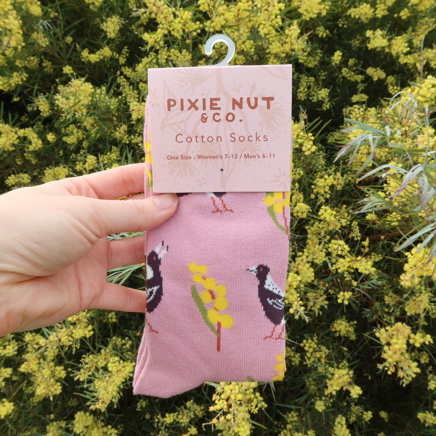 Magpie Wattle Australian Bird Socks