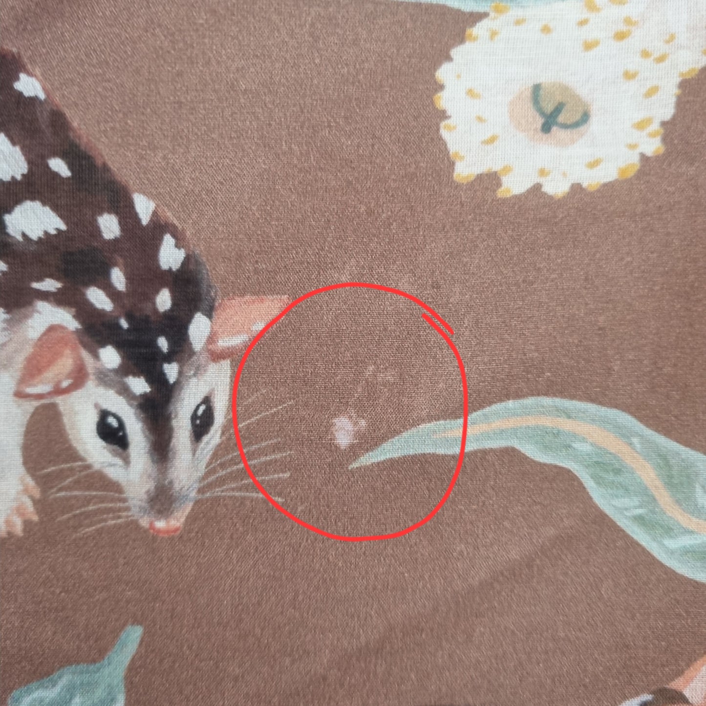 Seconds - Quoll Silk/Cotton Scarf