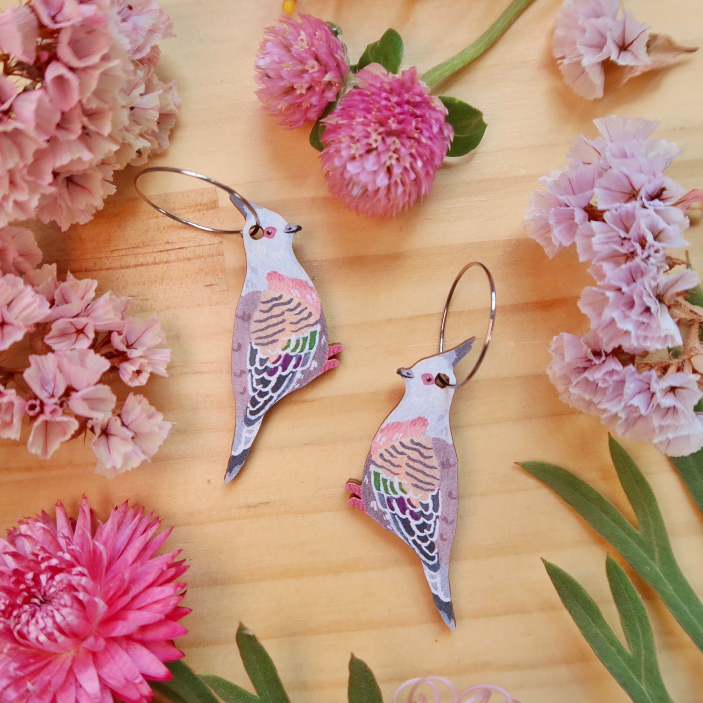 Crested Pigeon Australian Bird Earrings