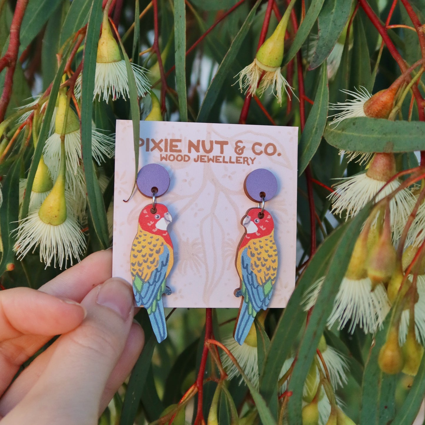 Eastern Rosella Australian Bird Earrings