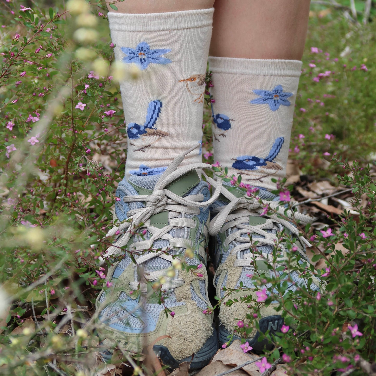 Fairy Wren Australian Socks