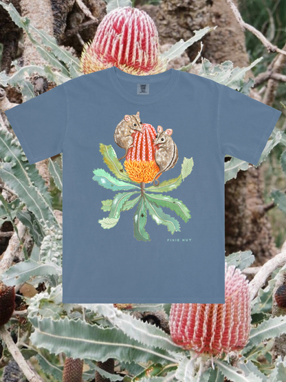 Honey Possum Tshirt (Blue Jean) ~ PREORDER