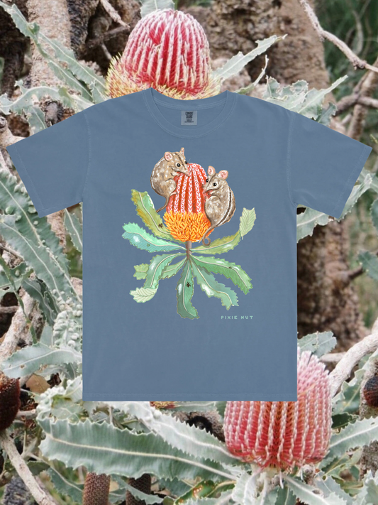 Honey Possum Tshirt (Blue Jean) ~ PREORDER