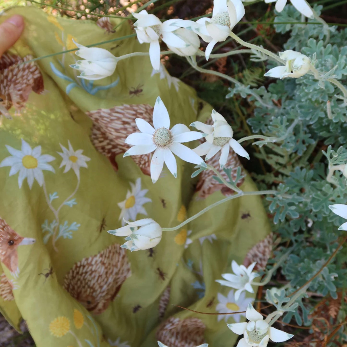 Australian Echidna and wildflowers 65 x 65cm square silk cotton scarf.