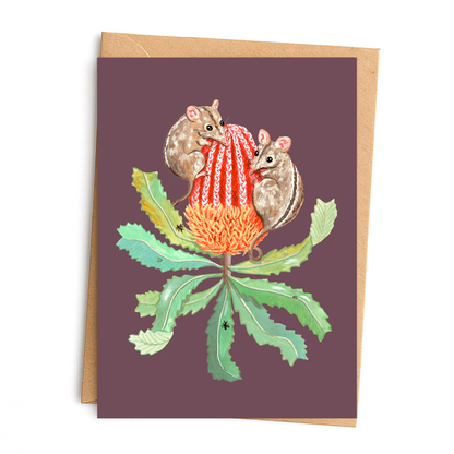 Honey Possum & Banksia Greeting Card