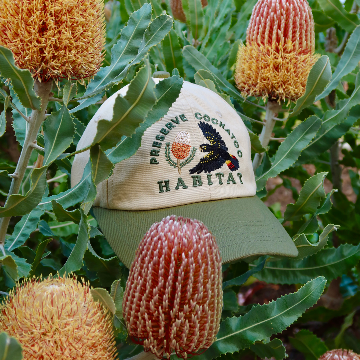 Black Cockatoo Wildlife Cap