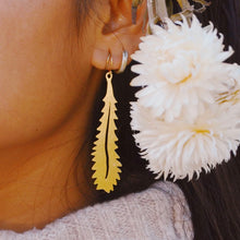 Load image into Gallery viewer, Australian Banksia Leaf gold plated hook earrings.