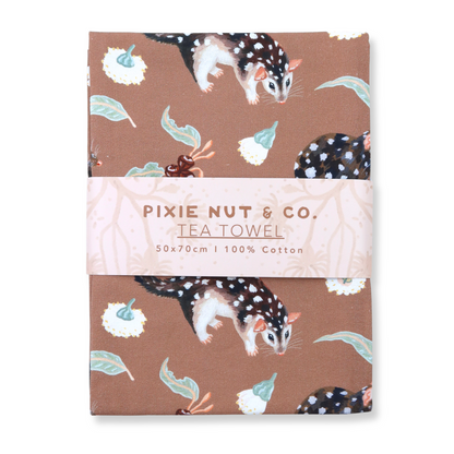 Quoll Bundle