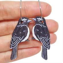 Load image into Gallery viewer, Willie Wagtail Australian Bird Earrings