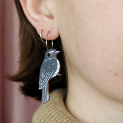 Willie Wagtail Australian Bird Earrings