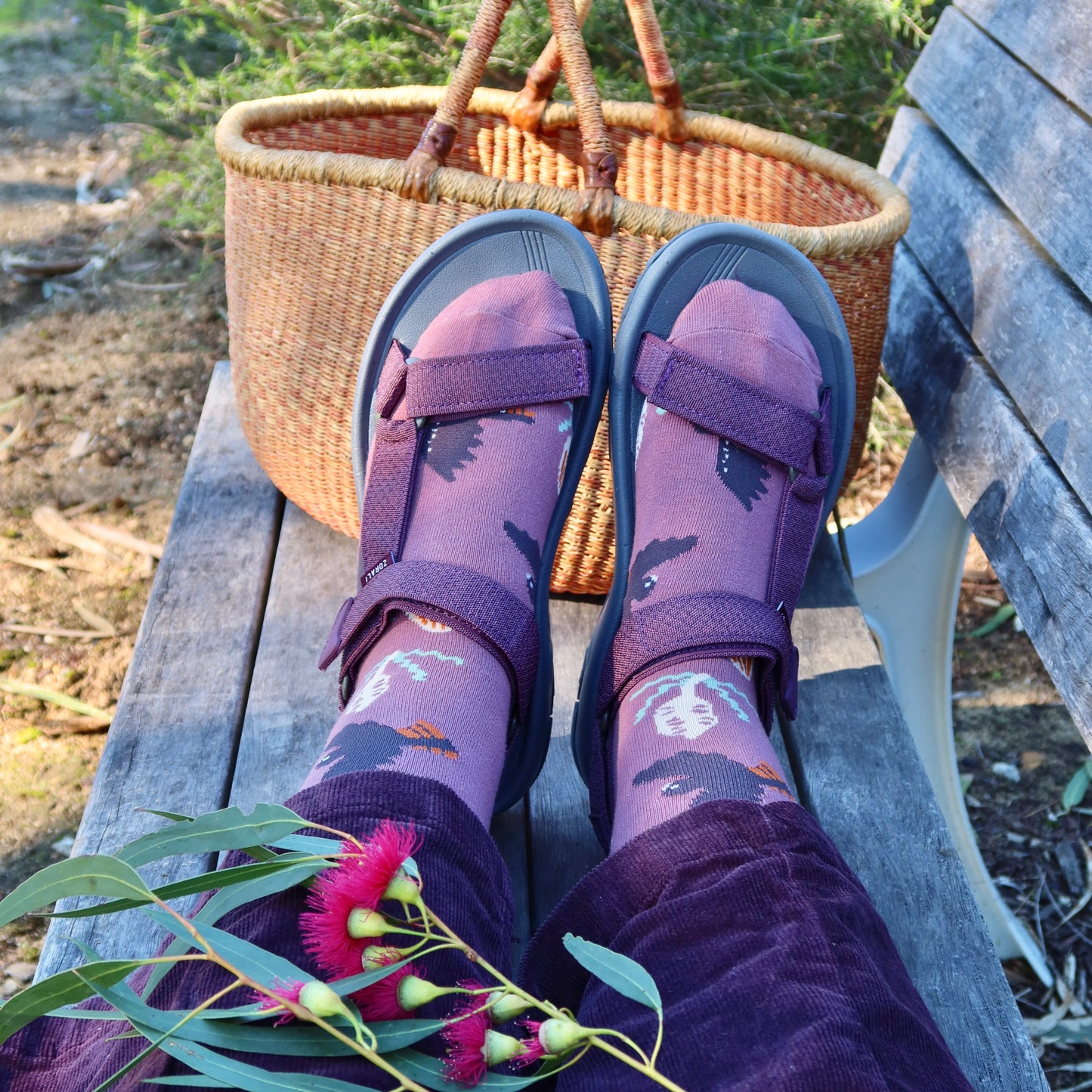 Black Cockatoo Australian Bird Socks