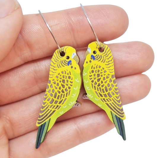 Budgie Australian Bird Earrings