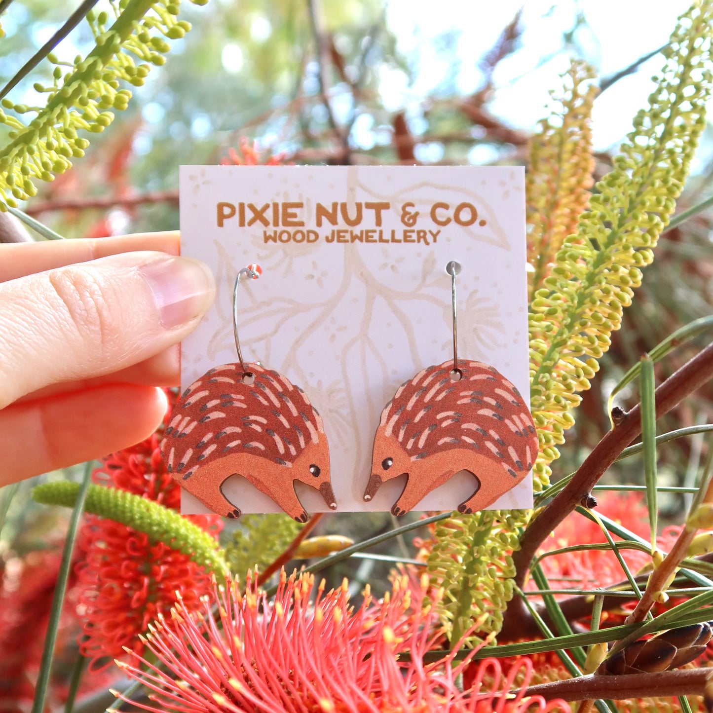 Echidna Australian Animal Earrings
