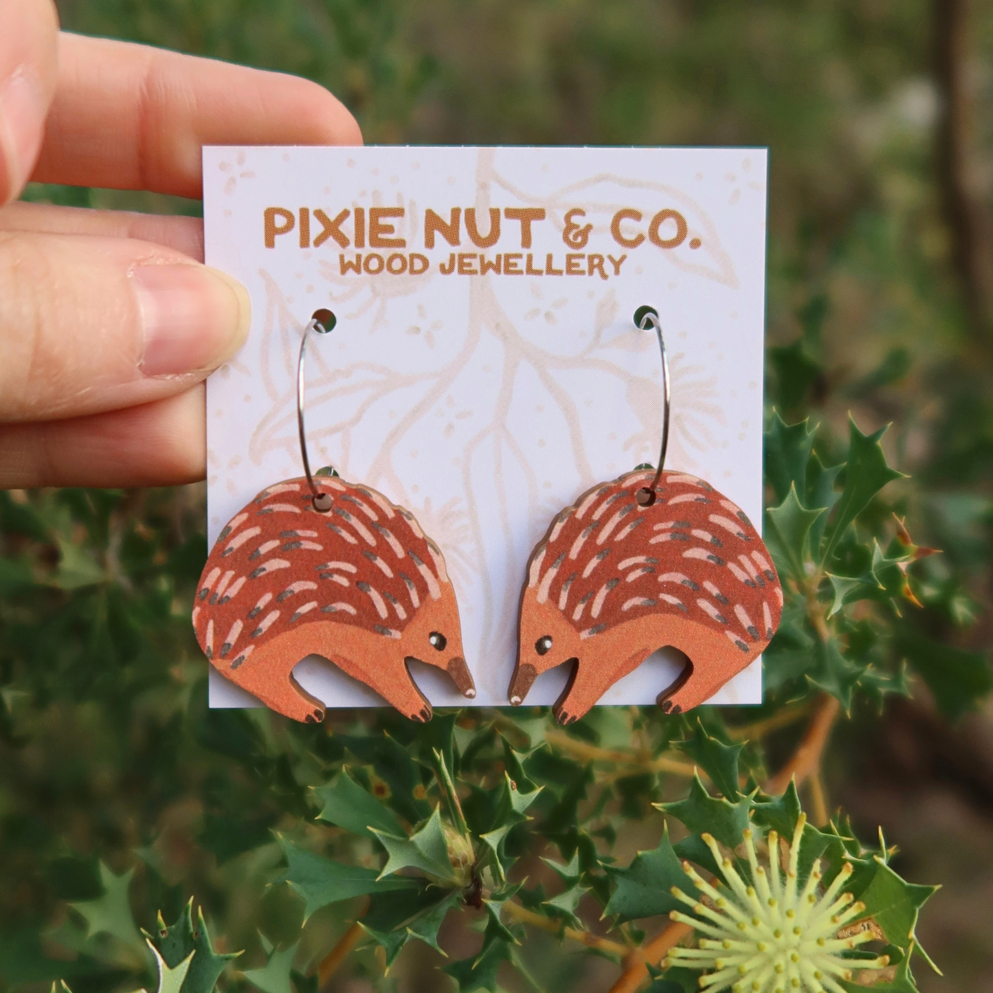 Echidna Australian Animal Earrings