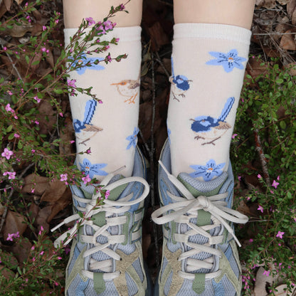Fairy Wren Australian Socks