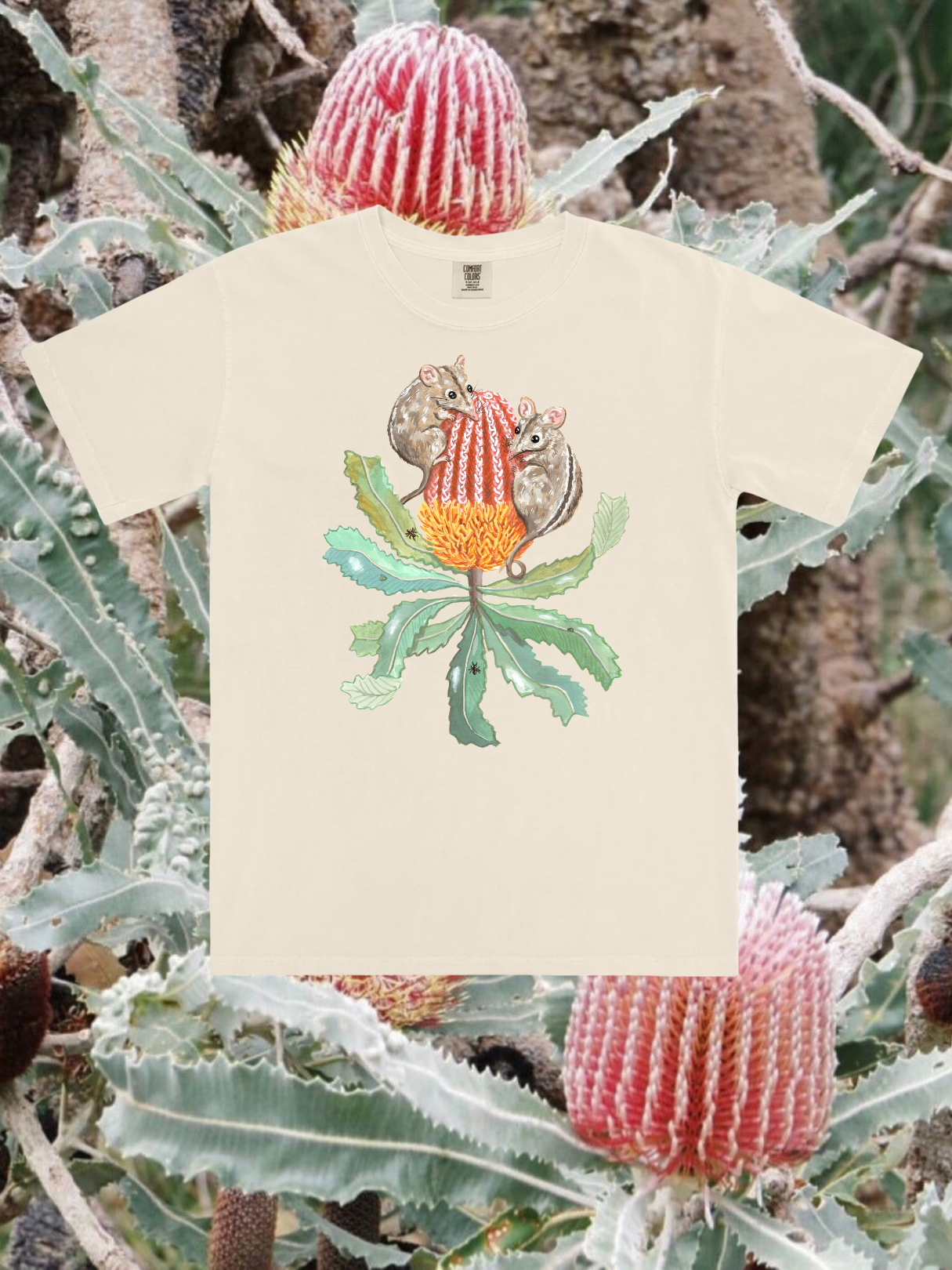 Honey Possum T-shirt ~ Ivory