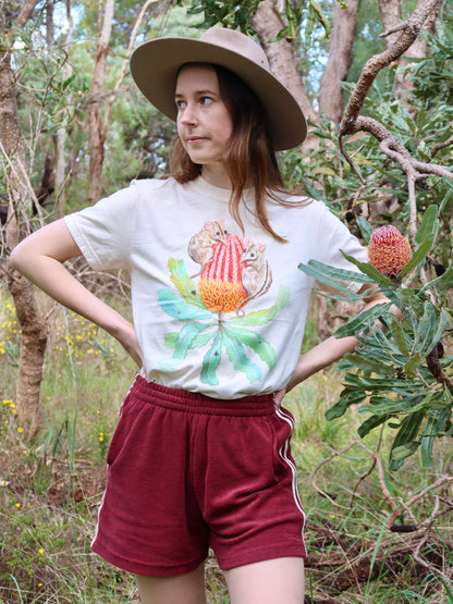 Honey Possum Tshirt (Ivory) ~ PREORDER