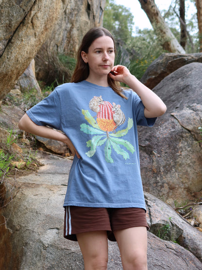 Honey Possum Tshirt (Blue Jean) ~ PREORDER