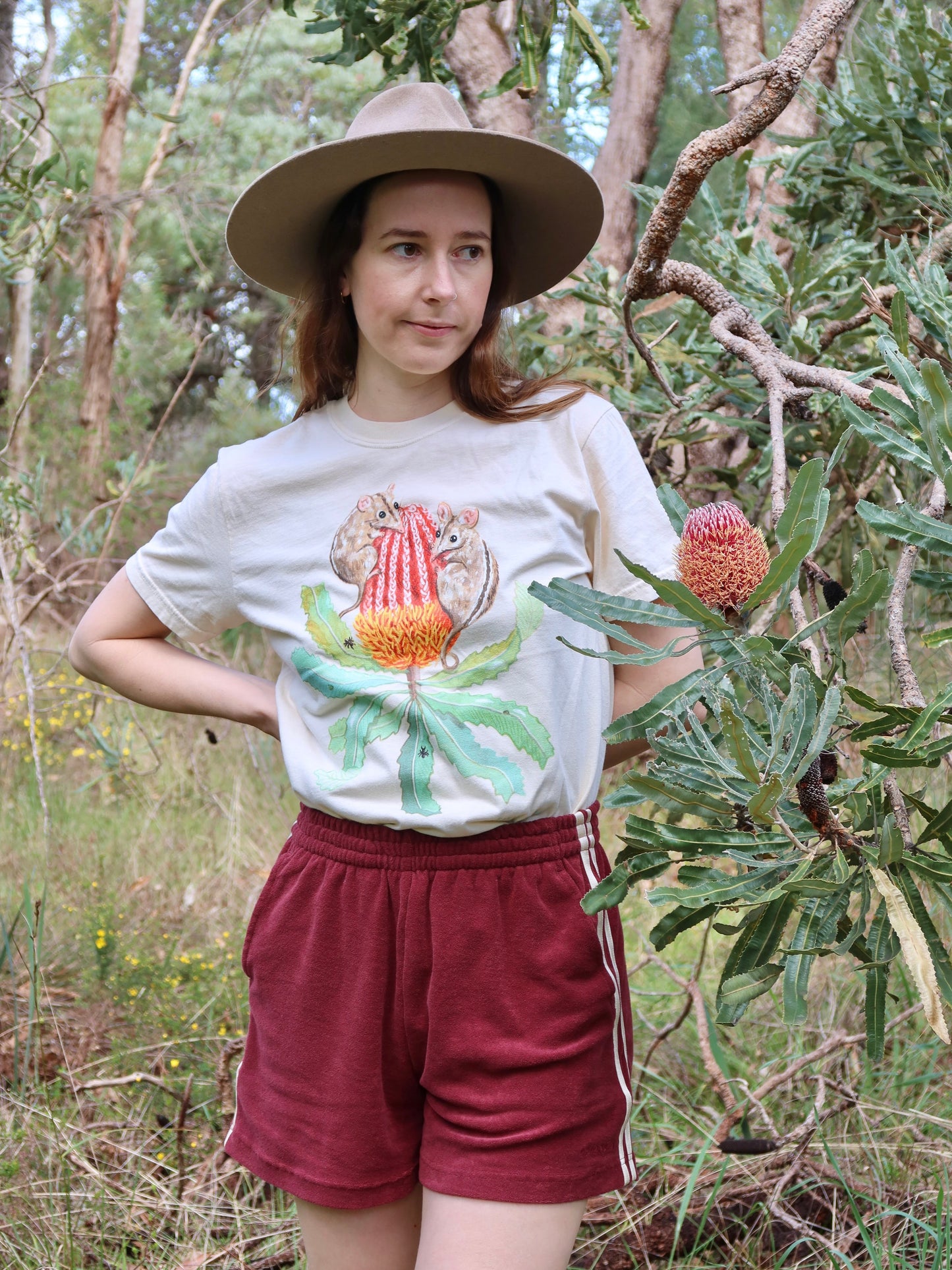 Honey Possum T-shirt ~ Ivory