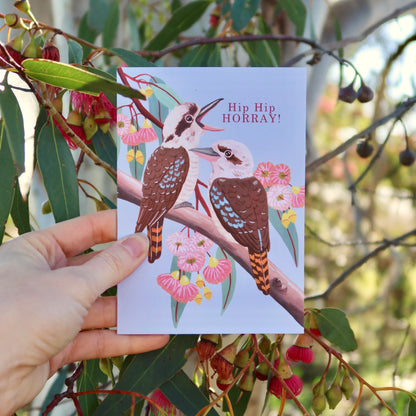 Kookaburra Gum Blossom Greeting Card
