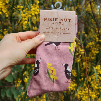 Magpie Wattle Australian Bird Socks