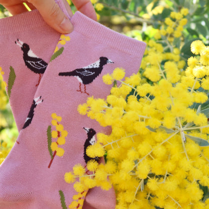 Magpie Wattle Australian Bird Socks