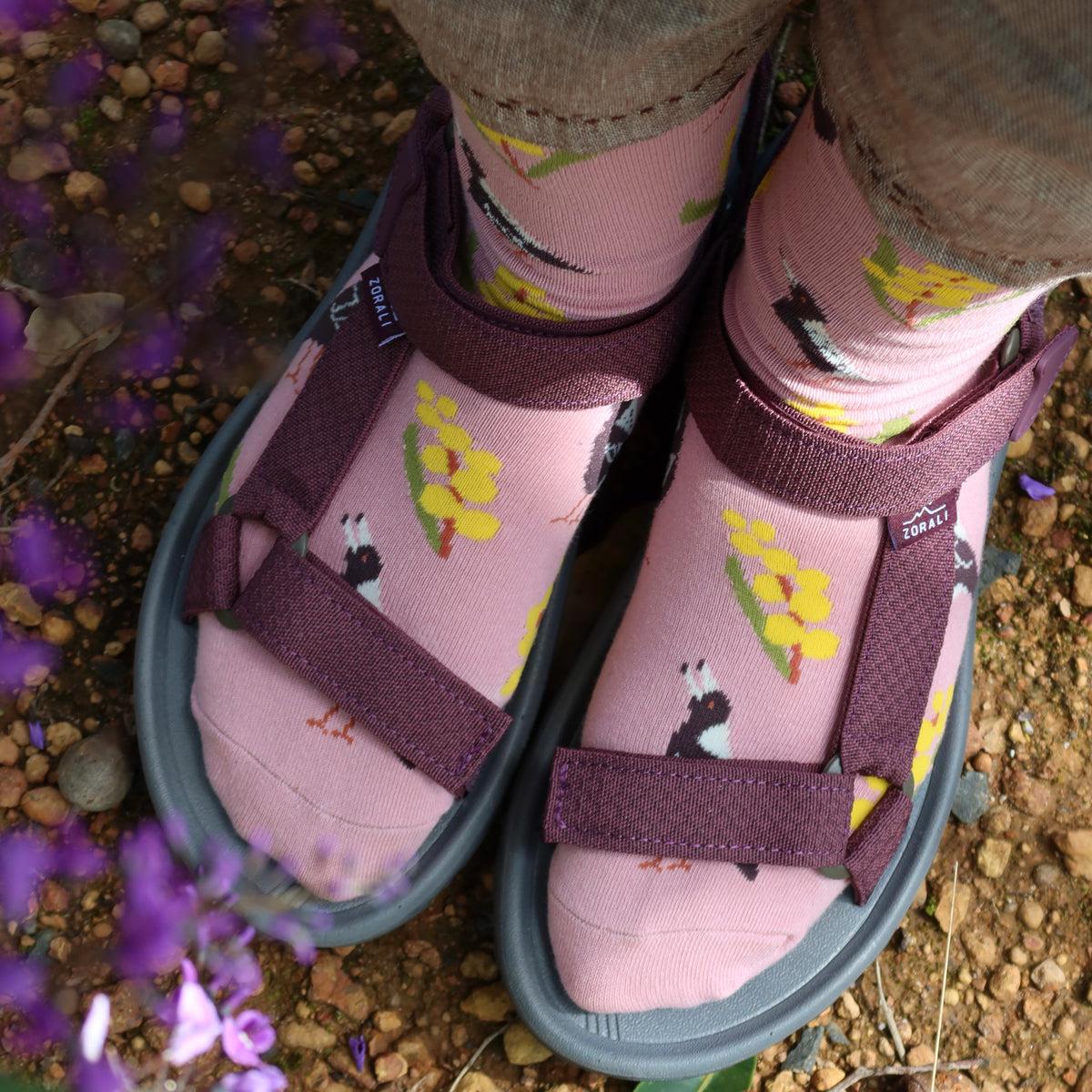 Magpie Wattle Australian Bird Socks