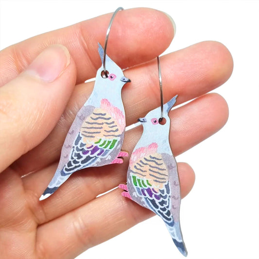 Crested Pigeon Australian Bird Earrings