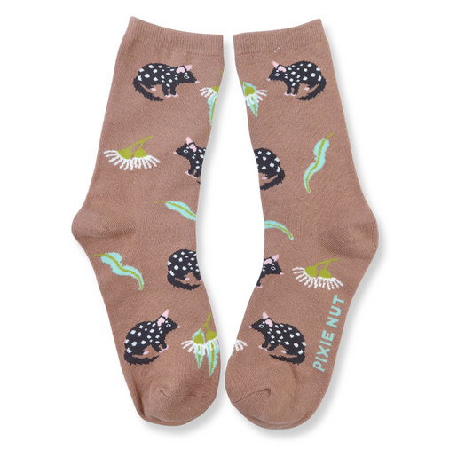 Quoll Australian Socks