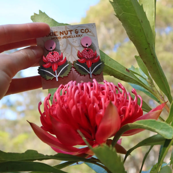 Waratah Australian Wildflower Earrings