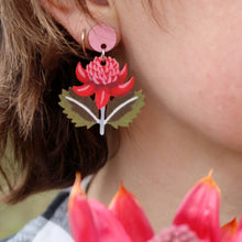 Load image into Gallery viewer, Waratah Australian Wildflower Earrings