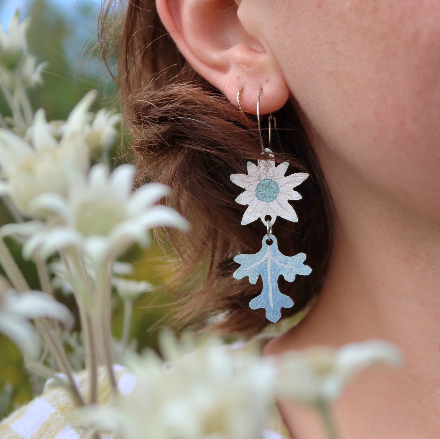 Flannel Flower Australian Wildflower Earrings