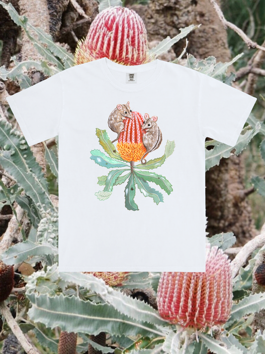 Honey Possum T-shirt ~ White