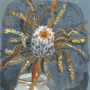 Acorn Banksia in Jar Print