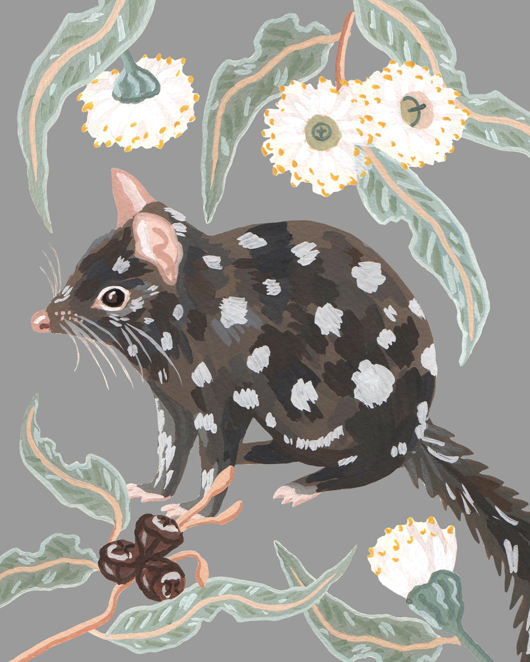 Eastern Quoll Print - 8 x 10