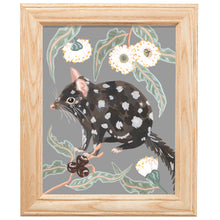 Load image into Gallery viewer, Eastern Quoll Print - 8 x 10&quot;
