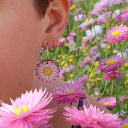 Australian wildflower pink everlasting daisy wooden hoop earrings